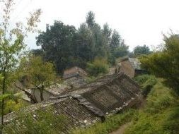 老村子村 老村子村