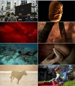 BBC人體奧秘 BBC人體奧秘