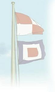 來自虞美人之坡