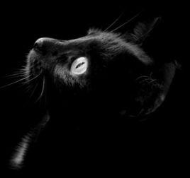 虛無之神 虛無之神