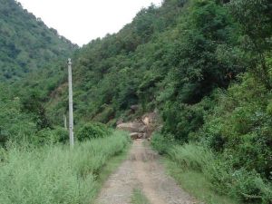 作木頂村 作木頂村