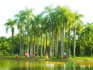 中國科學院西雙版納熱帶植物園新科研中心 中國科學院西雙版納熱帶植物園新科研中心