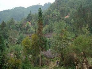 上馬甲自然村 上馬甲自然村