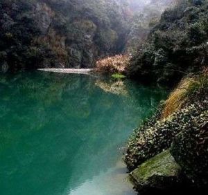 九嶺山森林公園 九嶺山森林公園