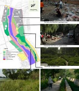 秦皇島紅飄帶 秦皇島紅飄帶