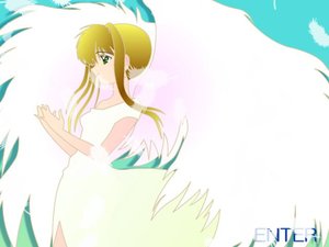 天使尋羽毛 天使尋羽毛