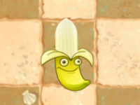 香蕉炮