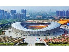 濟寧奧體中心體育場 濟寧奧體中心體育場