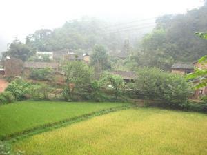 布江自然村 布江自然村