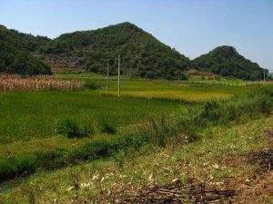 吊井自然村 吊井自然村