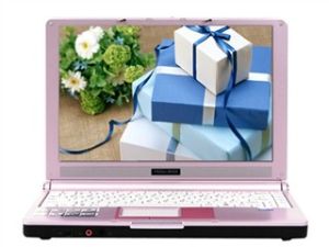 微星 MEGABOOK S262X-PT2052CB0 微星 MEGABOOK S262X-PT2052CB0