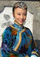 護國大將軍[2011年王文杰執導電視劇]