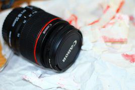 紅圈狗頭 紅圈狗頭