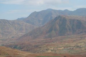 陶金箐村 陶金箐村