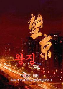 望京[2012年賈丁執導紀錄片]