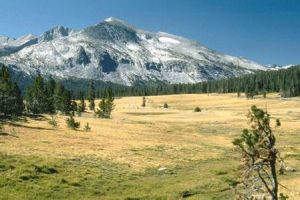 都蘭國際狩獵場 都蘭國際狩獵場