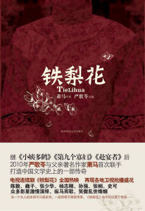 《鐵梨花》[小說]