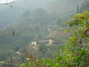 達秧自然村 達秧自然村