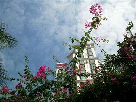 珠江半島花園 珠江半島花園