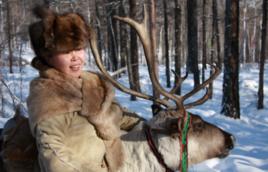 馴鹿鄂溫克族 馴鹿鄂溫克族