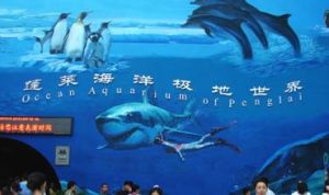 蓬萊海洋極地世界