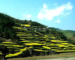 無量山自然保護區