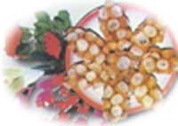 安陽燎花 安陽燎花