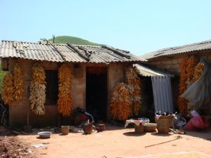 金寶地自然村 金寶地自然村