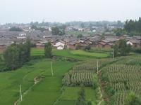 大營南村 大營南村