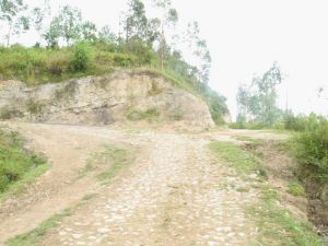 前甸自然村 前甸自然村