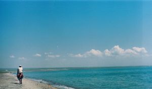 青海旅遊攻略 青海旅遊攻略