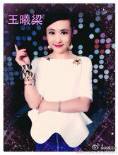 王梁[中央電視台國際部主持人]