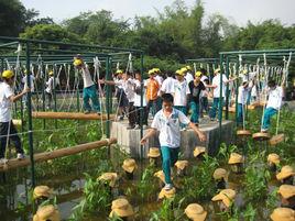 紅旗農莊 紅旗農莊