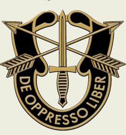 美國陸軍特種部隊