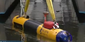 藍鰭鮪魚-21 藍鰭鮪魚-21