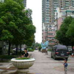 百合天府 百合天府