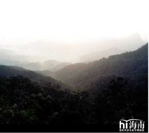 斧頭山自然保護區