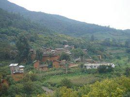 魏家村[江蘇省姜堰市張甸鎮魏家村]