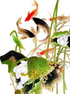 魚水之歡 魚水之歡