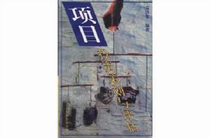 項目投資策劃與評估 項目投資策劃與評估