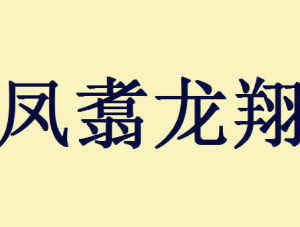 鳳翥龍翔 鳳翥龍翔