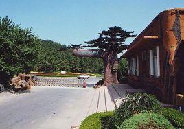 大連東雞冠山景區 大連東雞冠山景區