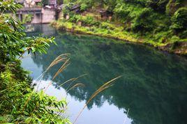 羅溪森林公園 羅溪森林公園