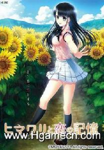 向日葵與戀愛的記憶 向日葵與戀愛的記憶