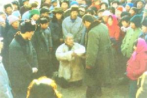 《天網》[張平作品]