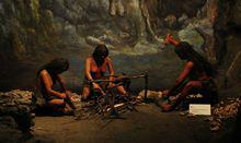 野人[未被證實存在的靈長目動物]