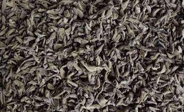 交界木耳 交界木耳