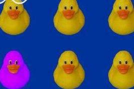 不合群的鴨子 不合群的鴨子