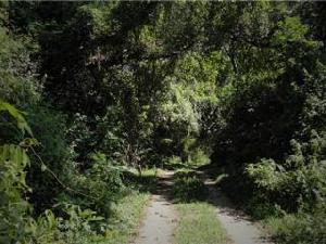 興隆美麗春天 興隆美麗春天