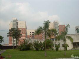 華南農業大學數學與信息學院 華南農業大學數學與信息學院